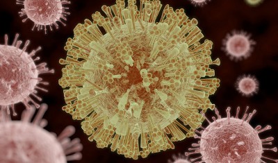 The danger of the spread of zika virus in the world is preserved – WHO